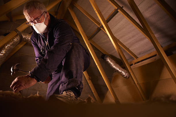 Best DIY Insulation Kits and Guidance in New London, WI